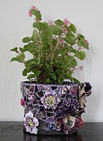 IMG_2153.JPG