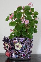 IMG_2156.JPG